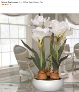 lot 10 image: National Tree Company 20 in. Artificial Cream Hibiscus Plant, 9 in. Artificial Bougainvillea Plant Hanging Basket & Vines. See Pictures