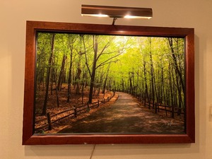 lot 26 image: Beautiful Framed Nature Photograph by Jon Smithers