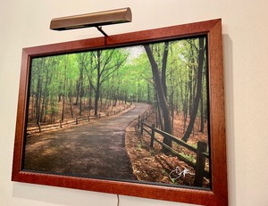 lot 24 image: Beautiful Framed Nature Photograph by Jon Smithers