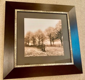 lot 157 image: 2 Framed Nature Prints by Harold Sullivan