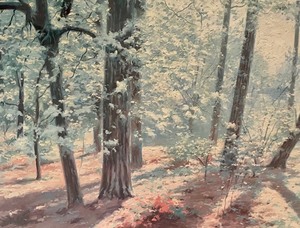 lot 160 image: Fine Forest Framed Print