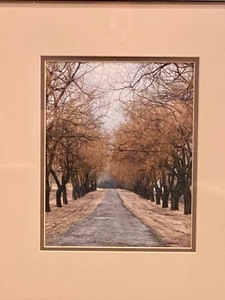 lot 227 image: Framed Scenic Photograph