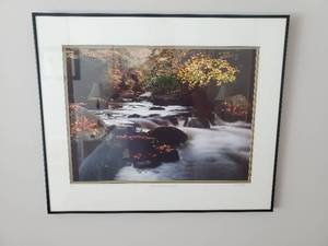 lot 77 image: Signed And Numbered Print Cotton Hollow By Tim Cahill
