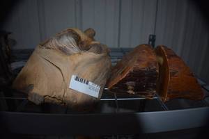 Wood Bookends