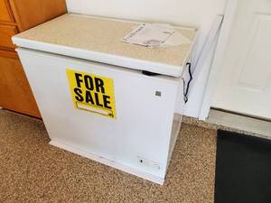 lot 49 image: General Electric Food Freezer