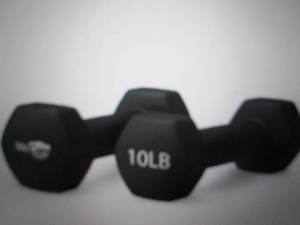 wecare 10-lb dumbell 2-pc set ...