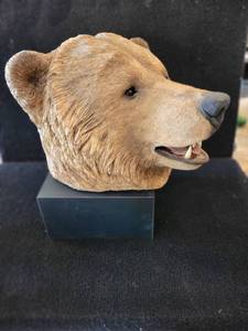 Sand Cast Brown bear Bust (Very Unique)