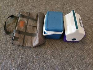 lot 120 image: 2 Small Coolers and Insulated Bag