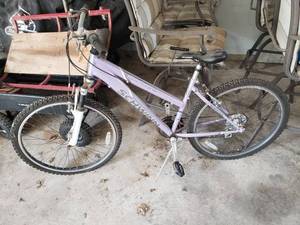lot 177 image: Schwinn Ranger Bike