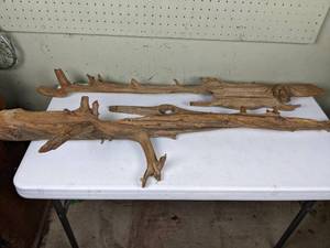 lot 121 image: Three Large Decorative Pieces of Driftwood