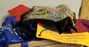 lot 53 image: Reusable Shopping Bags