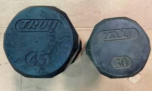 Troy 12-Sided Rubber Encased Commercial Dumbbells, 45 and 30 LBS