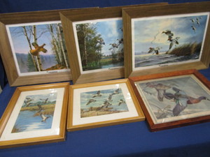 Waterfowl Prints