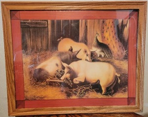 lot 45 image: Pig Lovers Framed Print  - 25 12 x 31 12 Glass Framed Print Three Hogs with Foul in Background