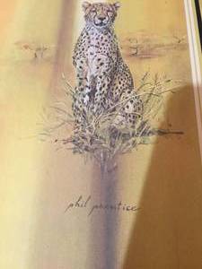 picture Leopard