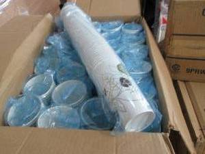 Case of 1200 Dixie Pathways 21 oz P...