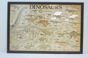 Smithsonian dinosaur print
