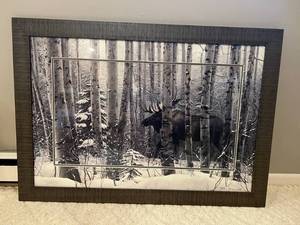 Stephan Lymen Framed Moose Print 40 12 x 28 12 d