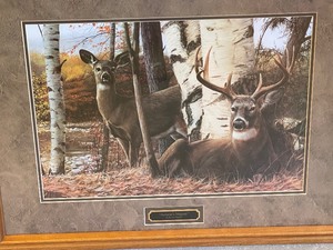lot 81 image: Framed Print by Kevin Daniel Autumns Majesty