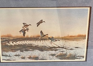 lot 52 image: Framed J. Killen Wildlife Print