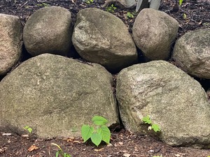 Large Lot of Landscaping Boulders