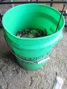 lot 187 image: 5 gallon bucket at least half of la...