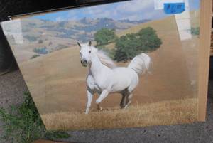 lot 424 image: three framed prints you got Mallard...