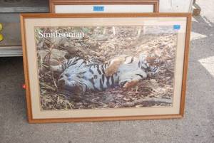 lot 427 image: freeprints one is some ducks on a l...