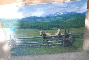 lot 507 image: 6 wall hangings check all pics...