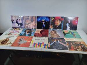 15 Awesome Assorted Vintage Vinyl Records-Neal Sedaka, Percy Faith, Barry Manilow and More