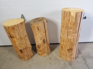 3 Decorative Logs