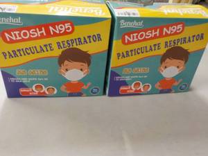 lot 215 image: Benehal 2 Boxes NIOSH N95 Particula...