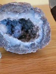 Geode and Polished Nautilus Specimen Samples