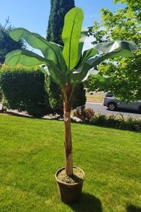 Amazing Faux Decor Japanese Banana Plant