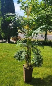 Fantastic Faux Decor Cat Palm Plant