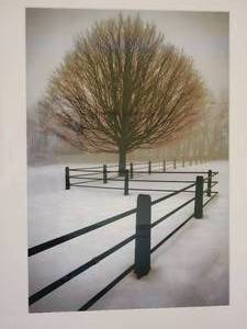 Fine Art Photography Print - Winter Tree
