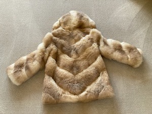 Lovely Opossum Chevron