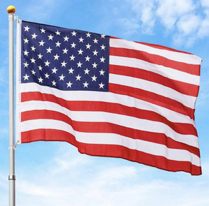 lot 113 image: STARK 3 ft. x 5 ft. American Patriot National U.S.A  US Flag with 25 ft. Telescoping Aluminum Flagpole Kit