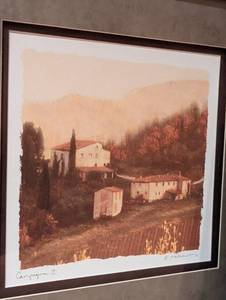 Framed Decorative Prints