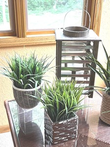 Beautiful Faux Decorative Plants and Wooden Lantern