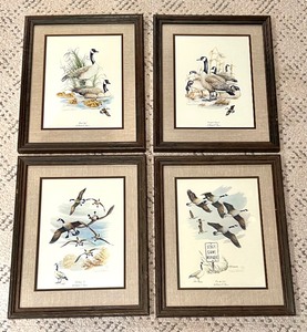 Series of Four Wildlife Prints by Charles Pearson