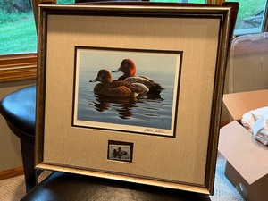 Framed 1982 Migratory Waterfowl Stamp and Print by P. Scholer