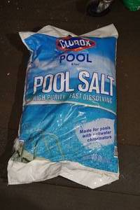 Clorox Pool Salt
