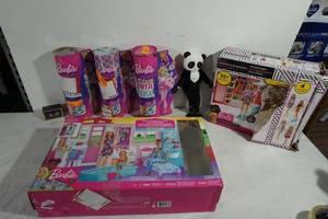 Assorted Barbies and Accessories