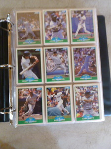3-Ring Binder of Baseball Cards