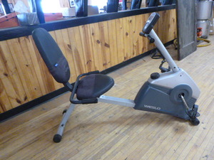 Weslo Pursuit G 3.1 Recumbent Exercise Bicycle