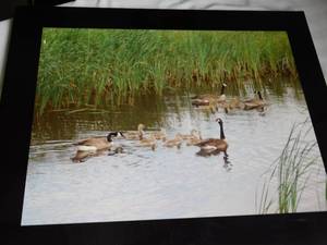 lot 42 image: 3 framed pictures