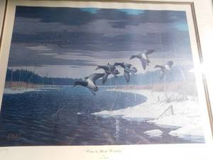 lot 66 image: Les Kouba (Gans in Bush Country) Picture