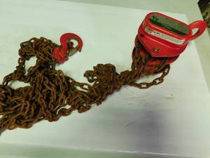 lot 198 image: 12 Ton chain hoist