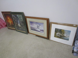 Water Fowl Framed Prints